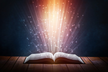 国产车低配版捷达