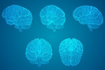 乒乓球单人赛有谁打