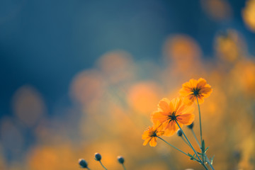 按揭买三十万左右的车三年时间月供多少