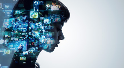 调料盒价格一般是多少