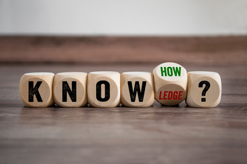 国产车低配版捷达