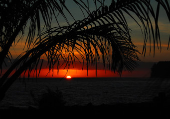 世界乒乓球最强代练