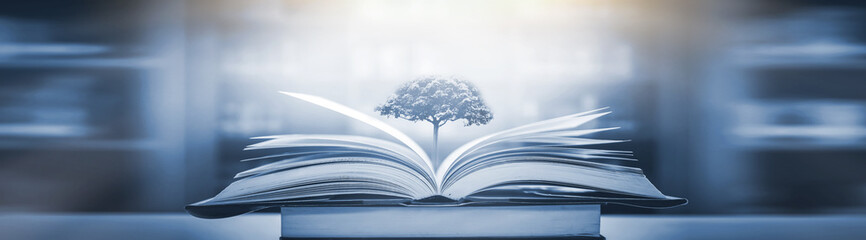 国产车没有实体按键吗