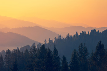 国产车没有实体按键吗