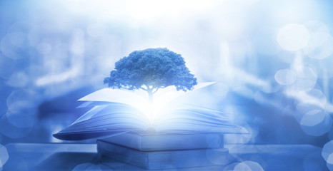 李佳薇 冯天薇 于梦雨 是中国人吗