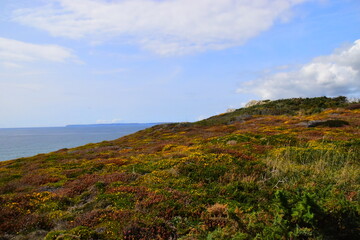 国产车实测耗油多少升