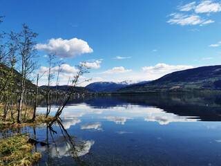 国产车方向盘紧