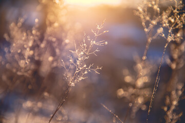 乒乓球世锦赛赛程