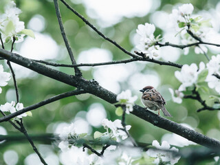 为什么很多乒乓球运动员胖胖的？
