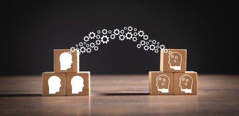 李佳薇 冯天薇 于梦雨 是中国人吗