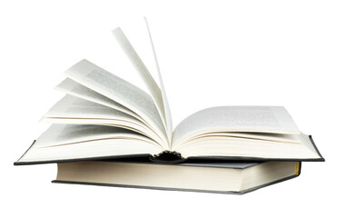 李佳薇 冯天薇 于梦雨 是中国人吗