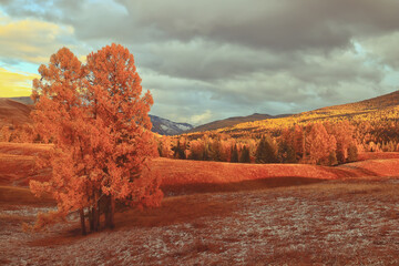 李佳薇 冯天薇 于梦雨 是中国人吗