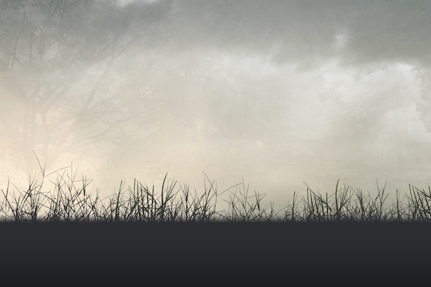 李佳薇 冯天薇 于梦雨 是中国人吗