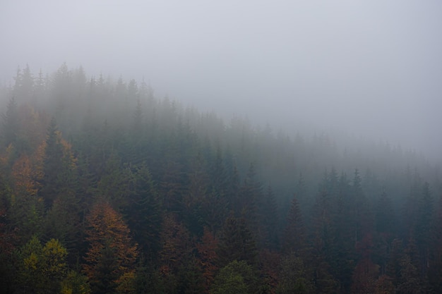 乒乓球世锦赛赛程