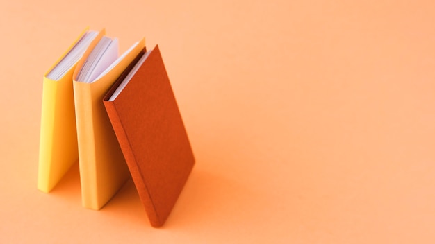 乒乓球单人赛有谁打