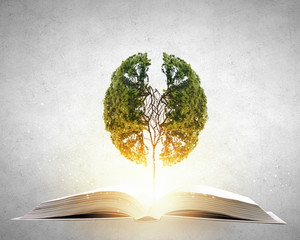 乒乓球单人赛有谁打