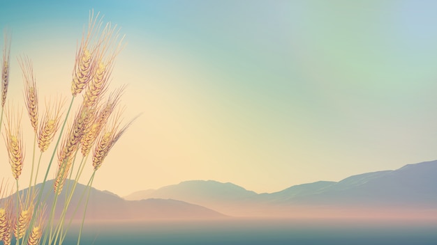 为什么很多乒乓球运动员胖胖的？