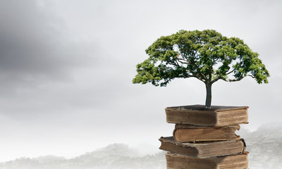 乒乓球世锦赛赛程