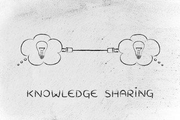 李佳薇 冯天薇 于梦雨 是中国人吗