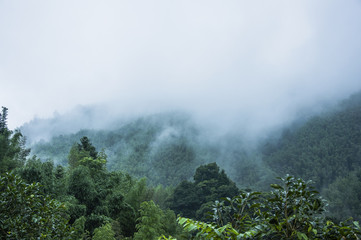 调料盒价格一般是多少